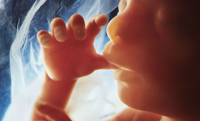 Ar embrionai įsčiose gali žiovauti ir žagsėti?
