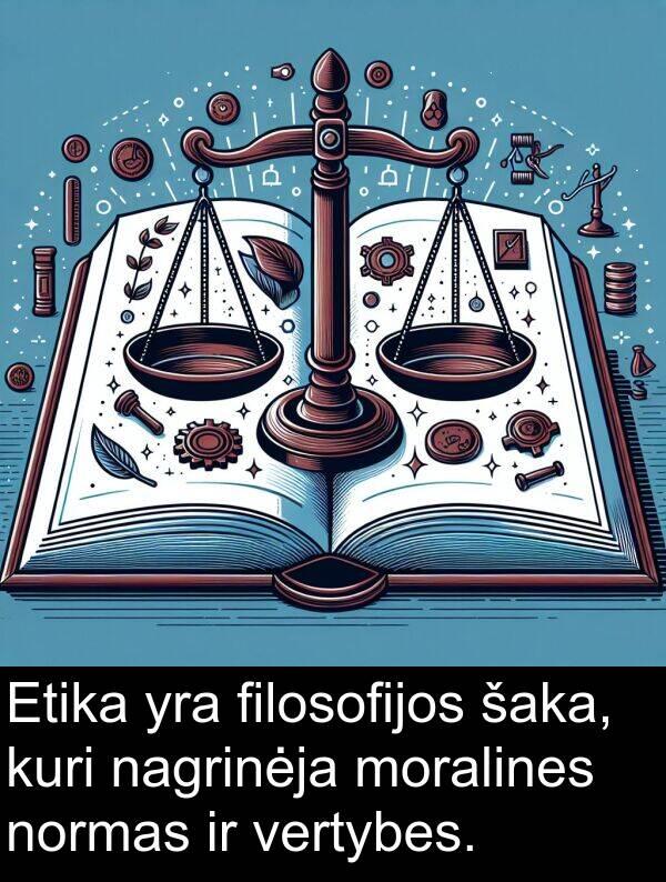 Klausimas su daug atsakymų